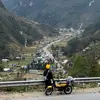 _.panda.98_