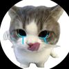 rin_163