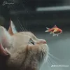 thanhhuyezz