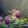 peach_bunny_0424