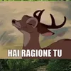 hairagionetu1