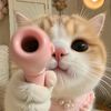 momyacaaaa_