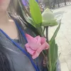 kiwi_1604