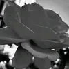 3f_ol