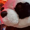 pillow_ce