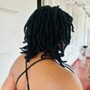 poppy_mav