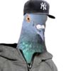 vdjhdhkvcu