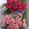 u_reem_