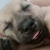 huynhcongthih