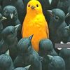 doty_788