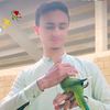 ibrahimkhan31023