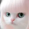 jackgirlbautista49