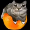 maciasty_142