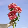 _baogiogaaythidoiten99_