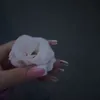 shengal__74