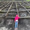 selvii2211