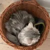 frankieromustdiie