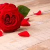 user6308892411279