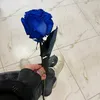 Я ВСЕГДА С ТОБОЙ 🥰😇
