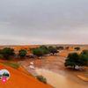 abu_malek522