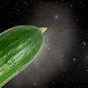 spacialseacucumber