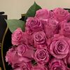 ma_447x