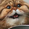 boss_242
