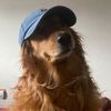 snapback72