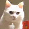 ha_wg03