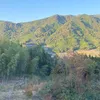 usero60tj27oh6