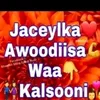 Safa abdi
