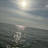 pin_jun0707