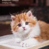 ngduy_cong24