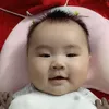 ca_phao247
