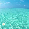 aicha_57