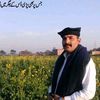 nabeeljutt549