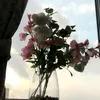 sonyasonya957