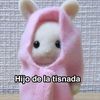 cuentasad_11