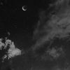 masonmoon.x