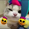 nihao_pussy
