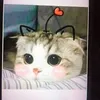 userfjqxc86tnx