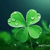 kieu_oanh8