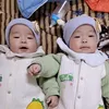 ngoc_anh315
