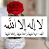 ام لمار ونور