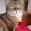 ksusha.ksusha747
