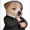 dhhoangggg