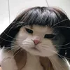 itsmehdaliah