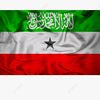 salamahmed.1