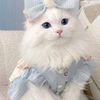 hairab334