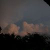 nhu_25714